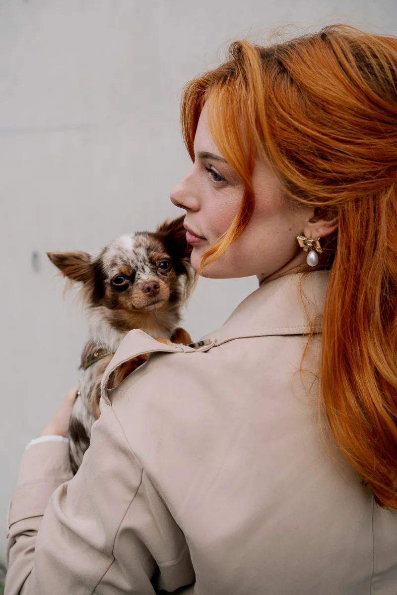 Woman with orange hair in profile holding small brown and white Chihuahua dog